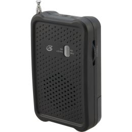 Gpx Portable Radio GPXR055B