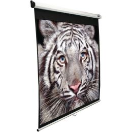 Elite Screens 100" Manual Pull-down B Series Projection Screen (1:1 Format; 71" X 71") ELTM100S