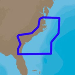 Axis(TM) PET20-7000 RCA Y-Adapter (1 RCA Plug to 2 RCA Jacks)